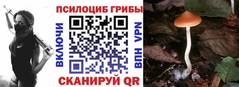 Псилоцибиновые грибы MAGIC MUSHROOMS  хочу   Красновишерск 