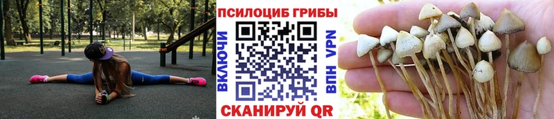 Галлюциногенные грибы Magic Shrooms Красновишерск